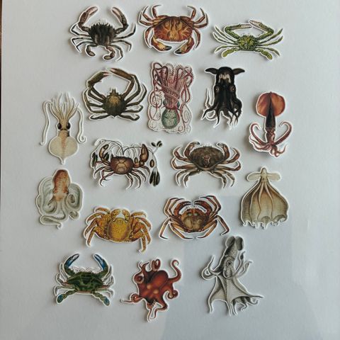 image_62EFFF26-C244-4CA0-923C-DFE9577E791F_1772353534