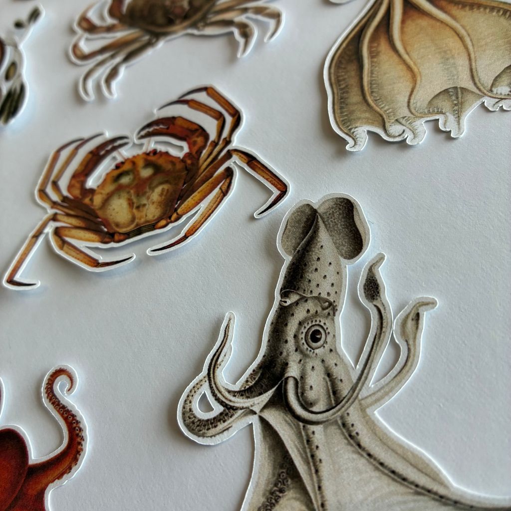 image_834A2A13-27D2-4E13-A888-8D466AEB82BF_1772353576