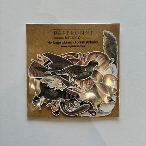 image_D67A99D3-3C63-4CD8-BD4D-3AA533F129CC_1772354504