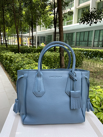 Longchamp penelope tote new arrivals