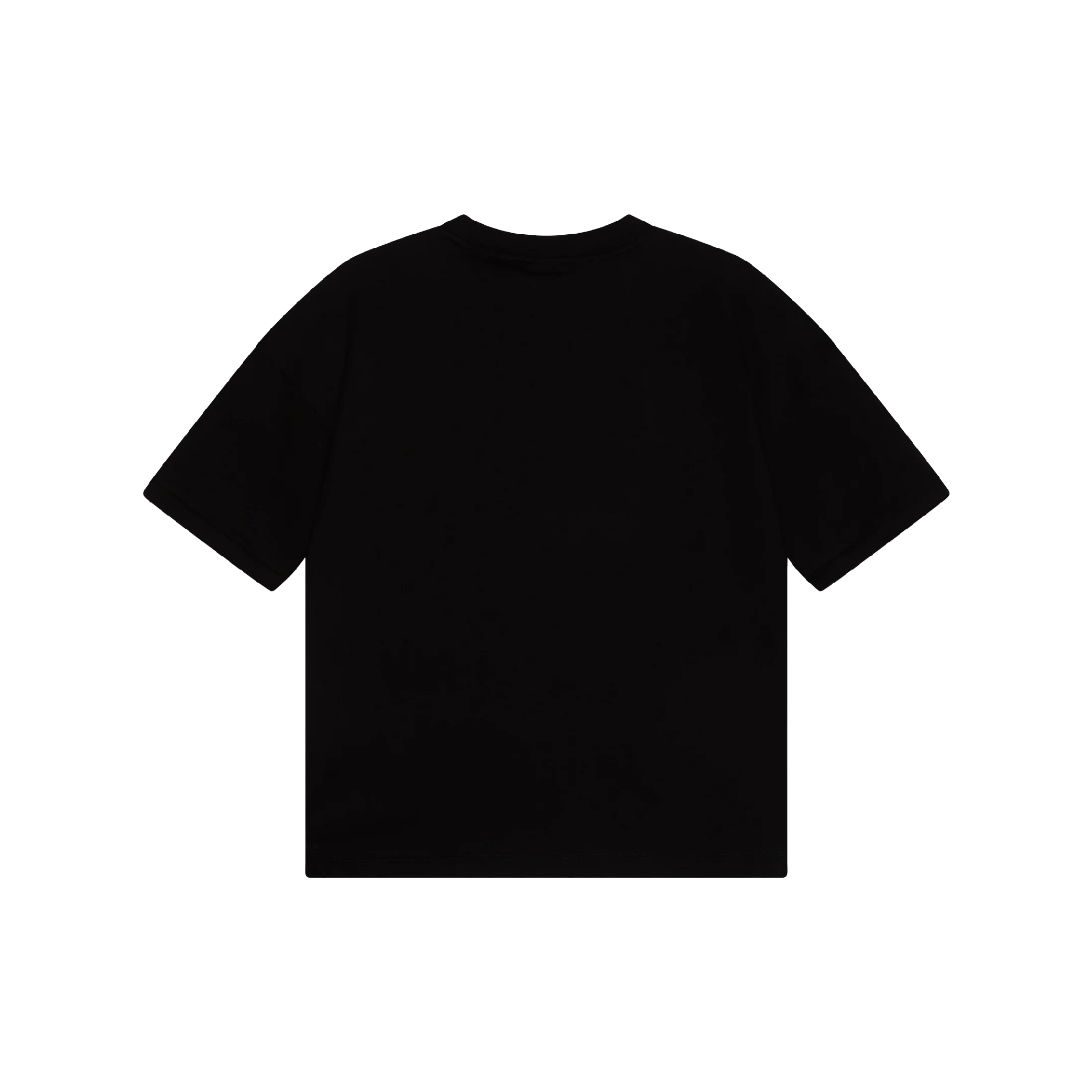 EA7_Emporio_Armani_KIDS_TEE_STYLE_UNISEX_Print_T_shirt_black_04