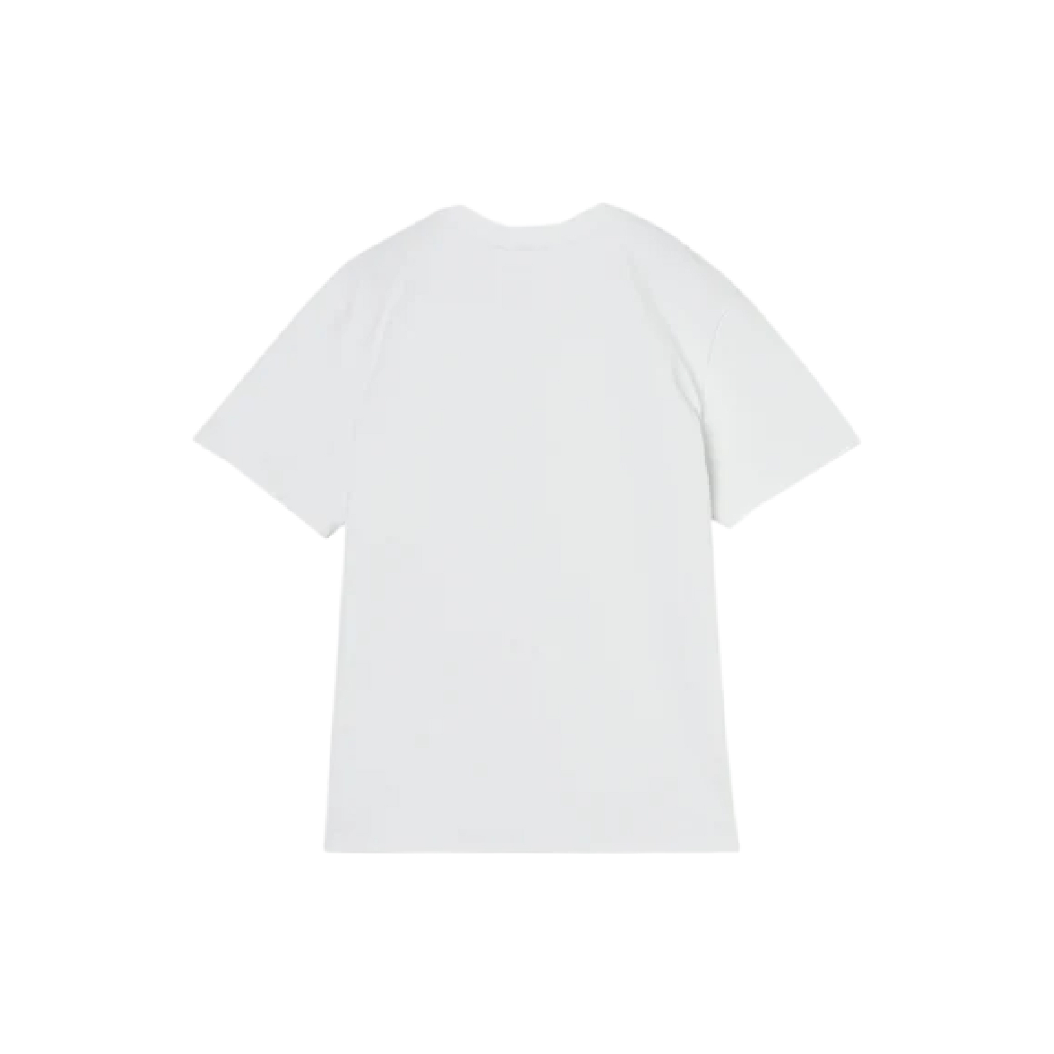 Mastermind x Moonrakers Tee-05