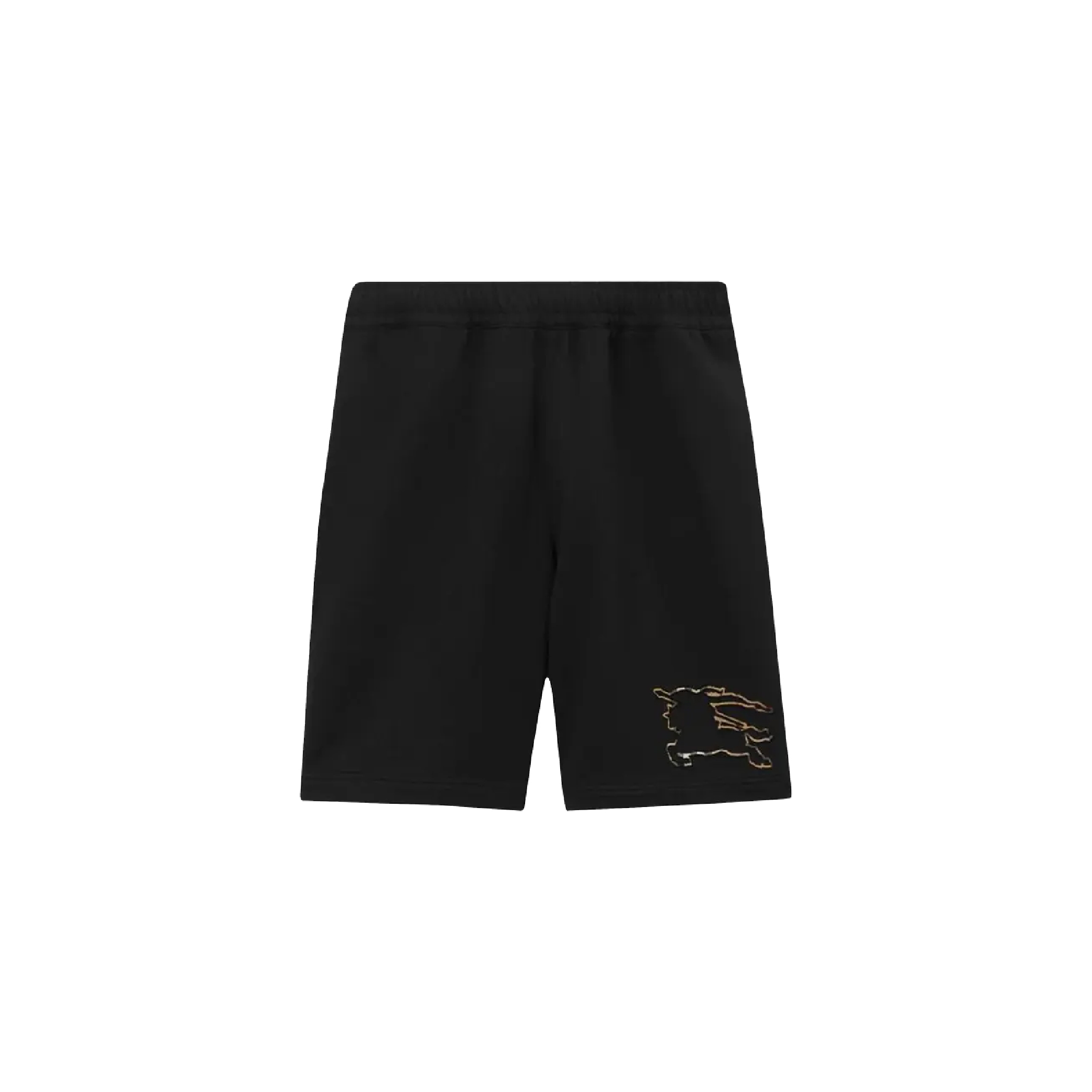 Burberry Pants 0-01