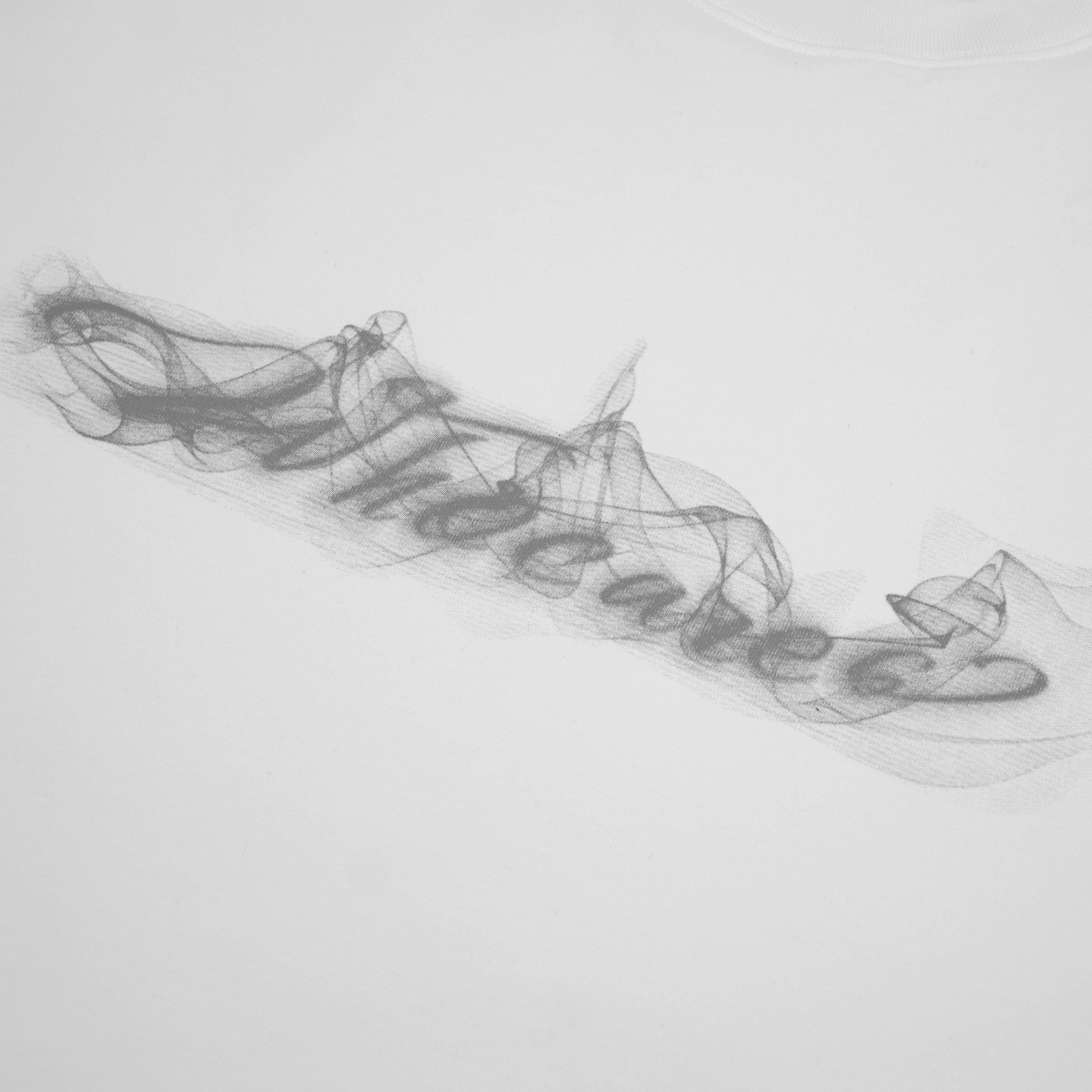 Smoke Logo Tee (White)_CL03