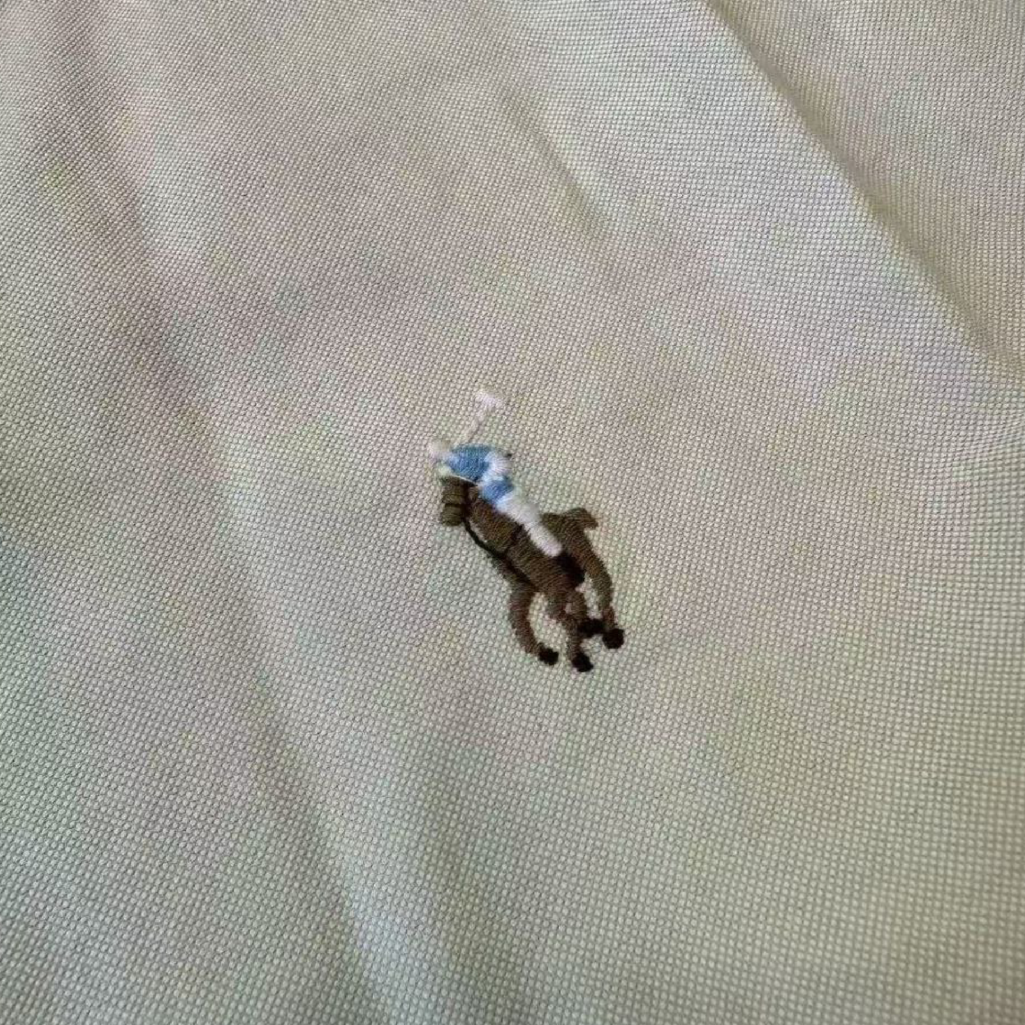 Ralph Lauren Multicolour Pony Oxford LS Collar Shirt-04