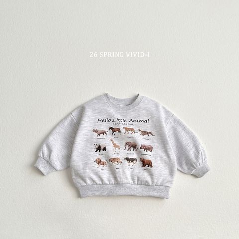 image_A8450A4A-6E02-4990-86C9-D2EDDCDF8828_1773656143