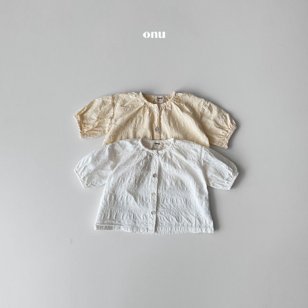 A_1 (1)