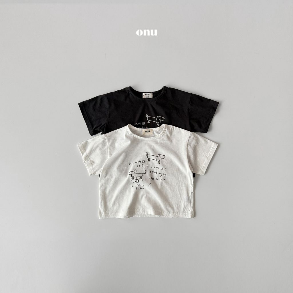 A_1 (1)