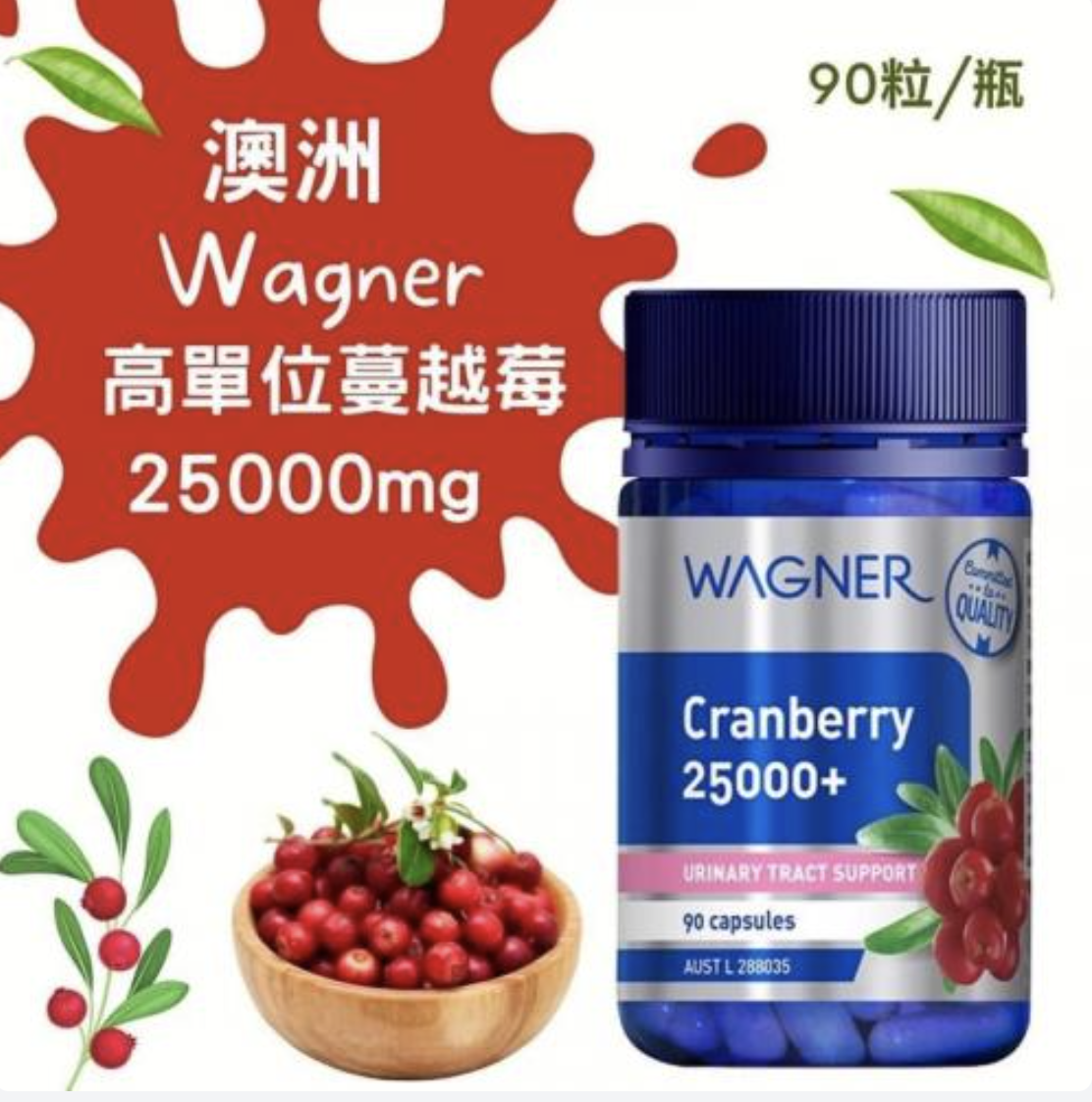 截圖 2025-04-01 下午3.22.28