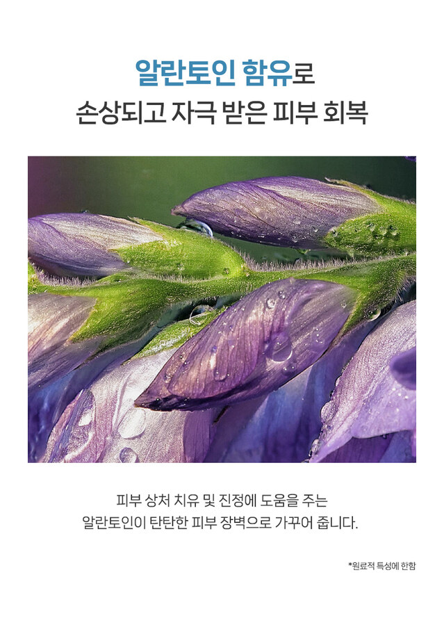 KakaoTalk_Photo_2025-06-25-08-02-23 005