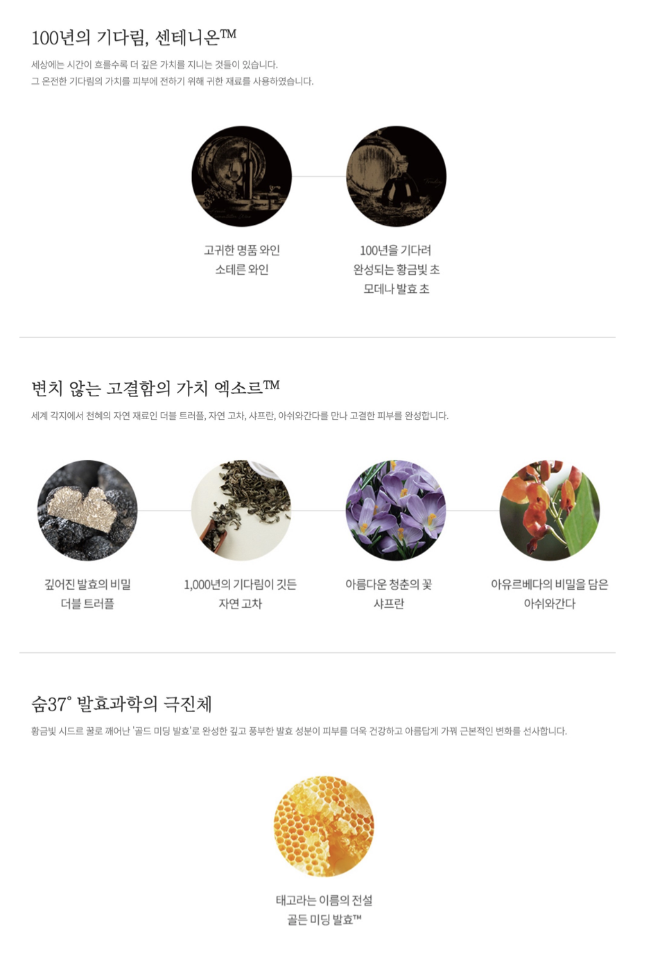 截圖 2025-07-29 上午9.17.31