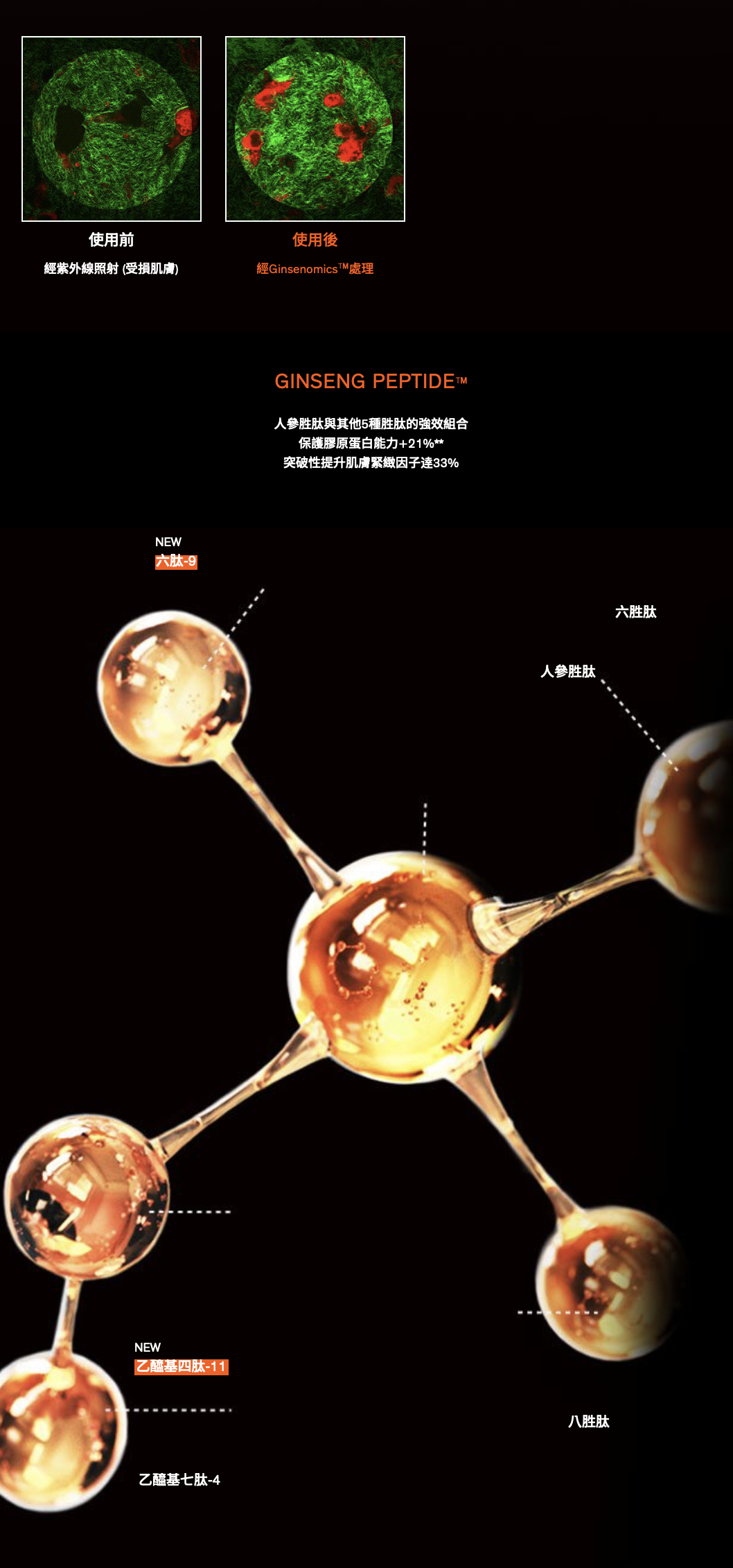 截圖 2025-08-09 上午9.20.20