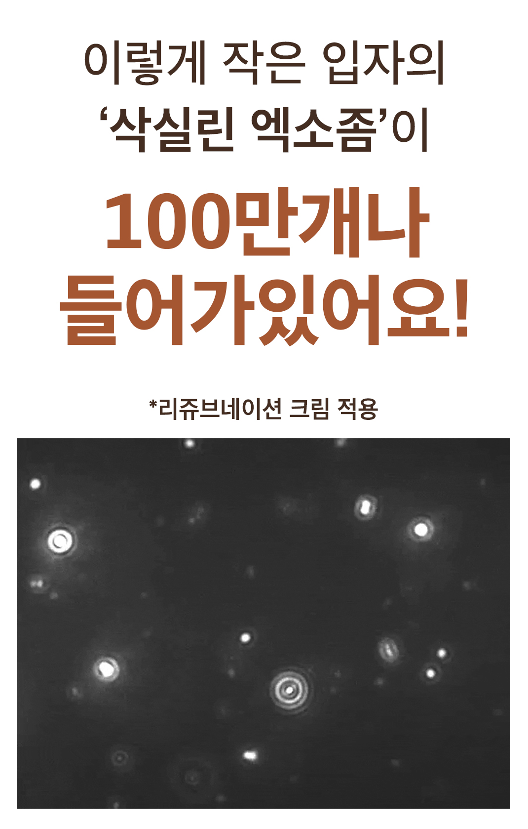 스크린샷 2025-08-09 12.16.47