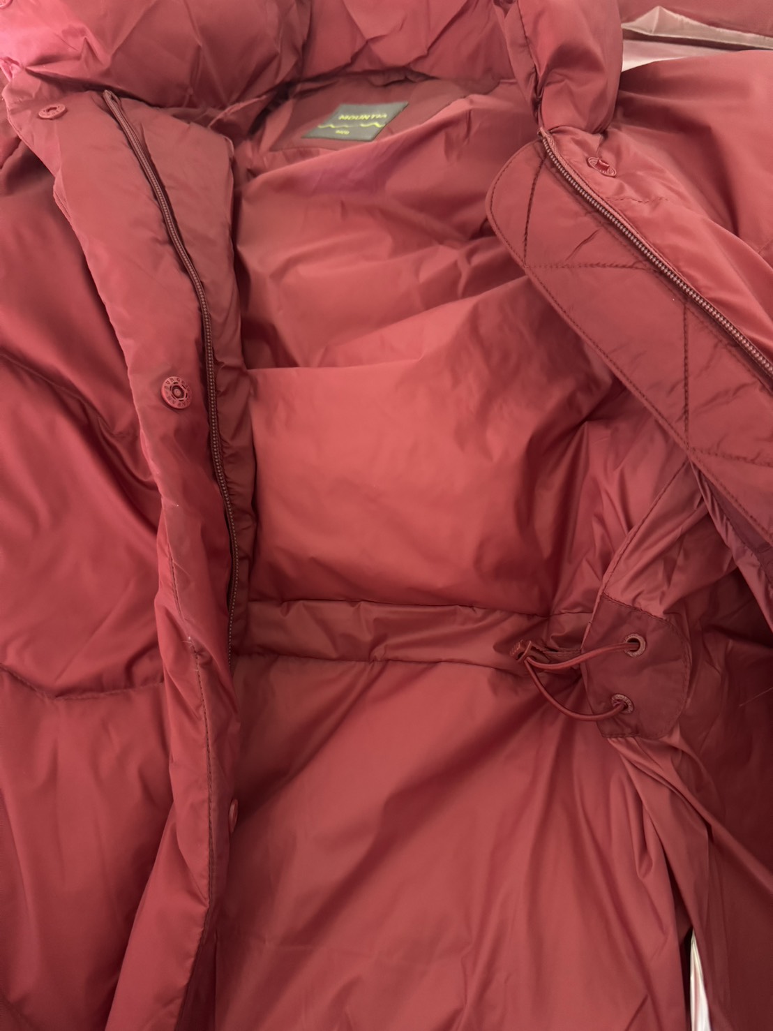 556714690_1354444612717565_1261663677763848734_n