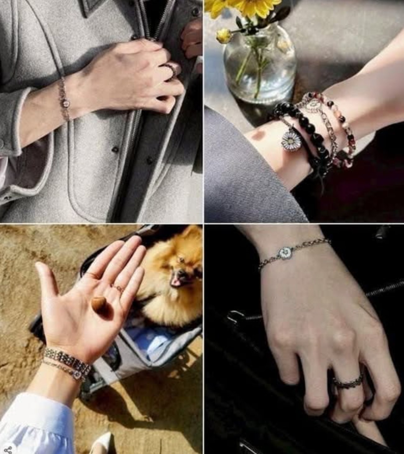 575185227_1384692443026115_5892001121340074679_n