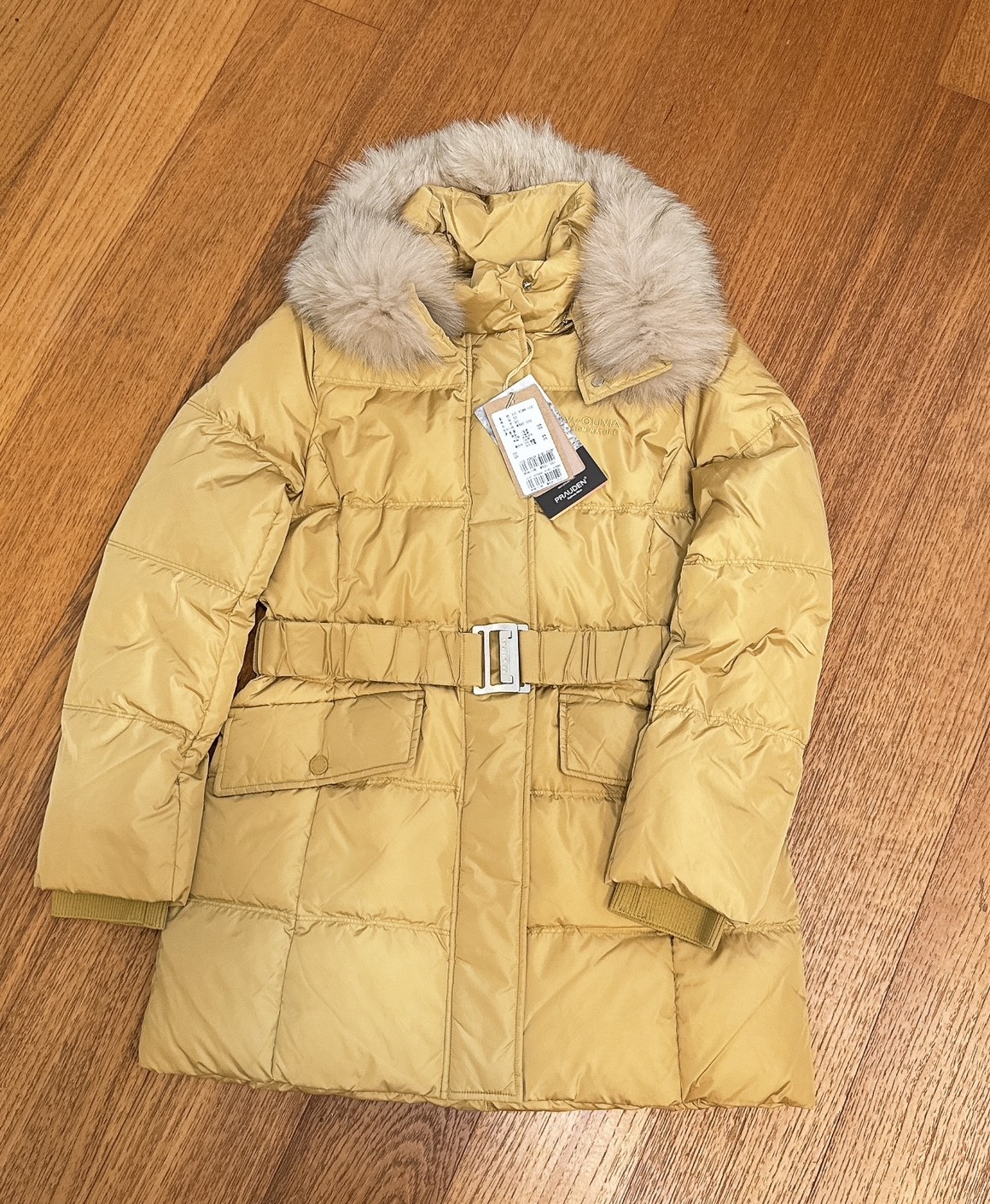 584434179_1396291905199502_9165355918735907333_n