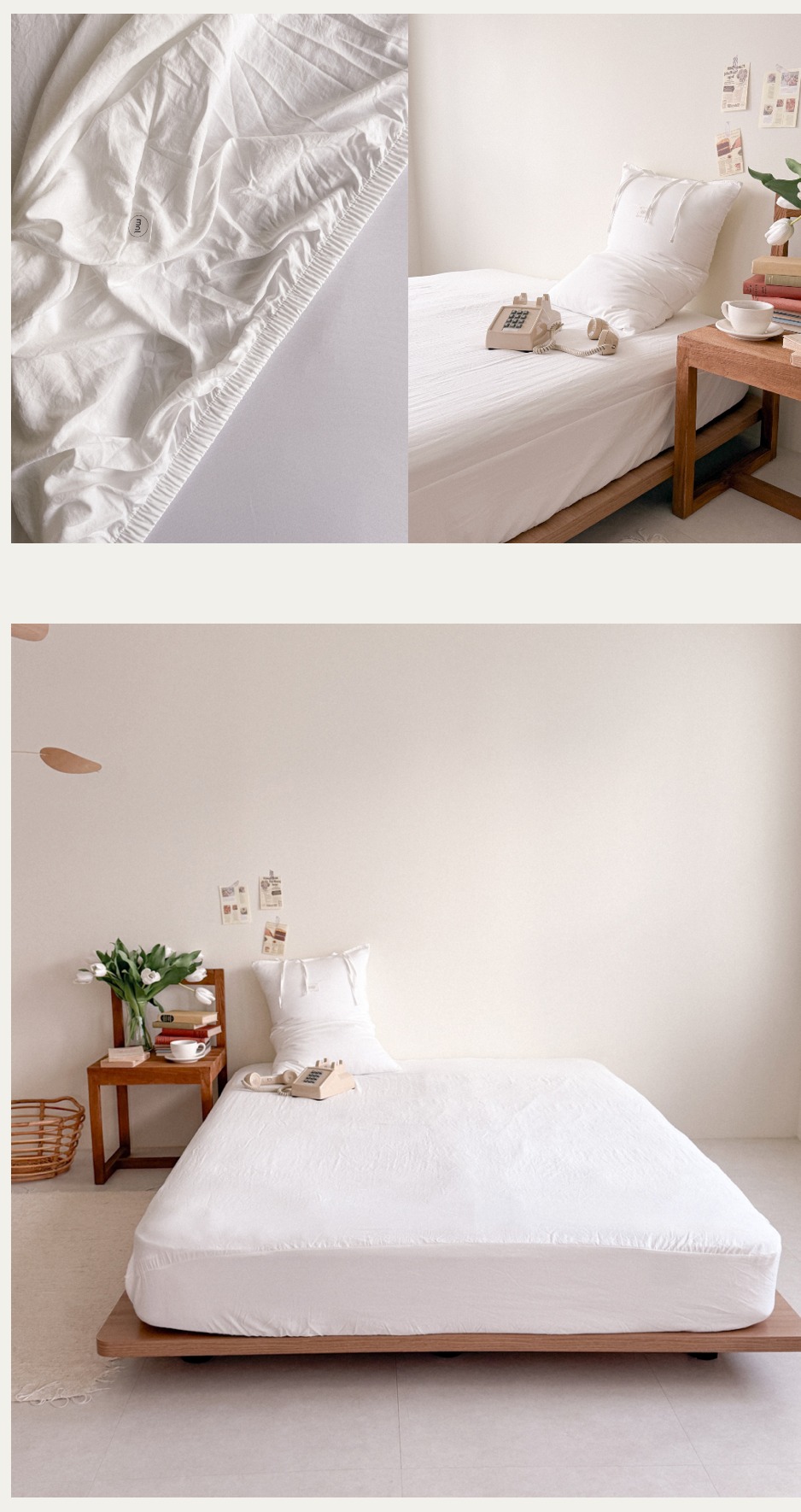 583880912_1397514011743958_7811057424077768655_n