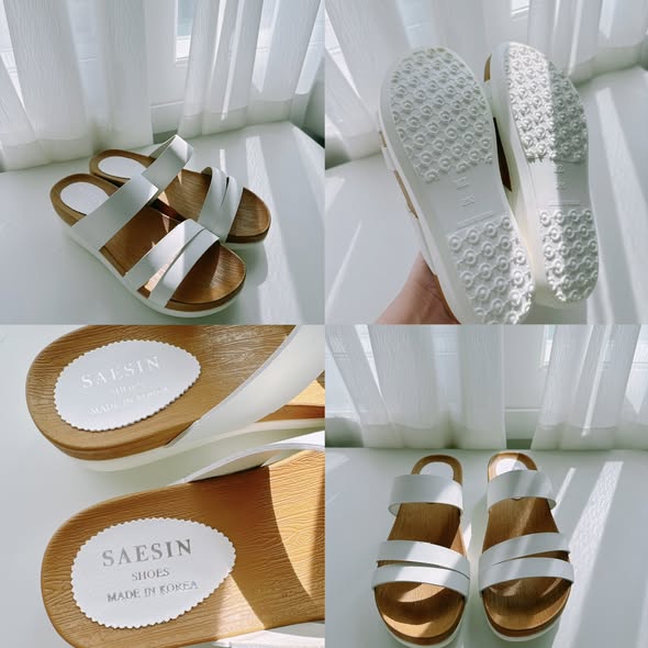 490829565_1228351988660162_7791188529557438669_n