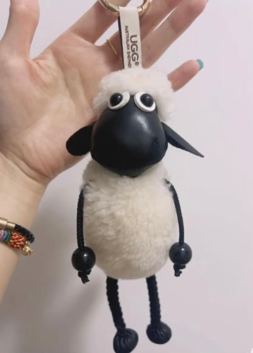 617740255_1443818670446825_522747519288066812_n