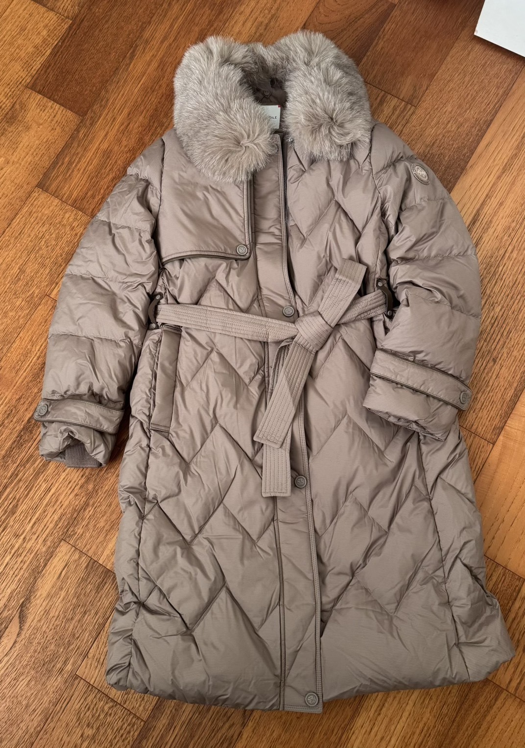 622116238_1448101476685211_4809286912766603179_n