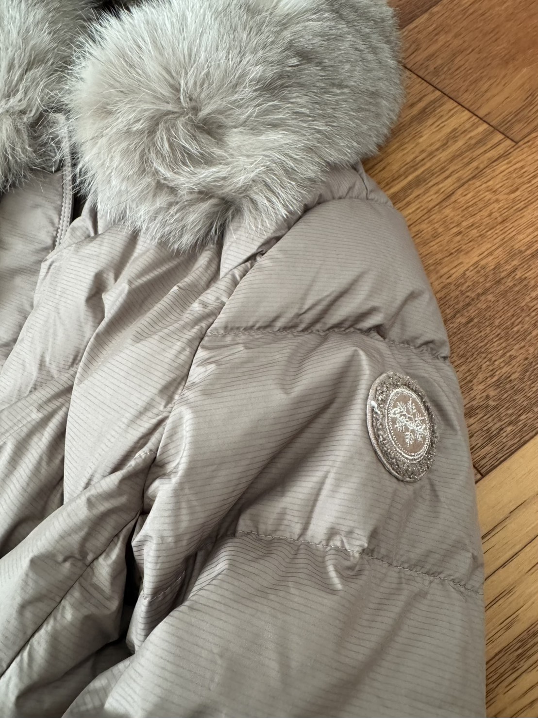 619838752_1448101483351877_2529910534013183199_n