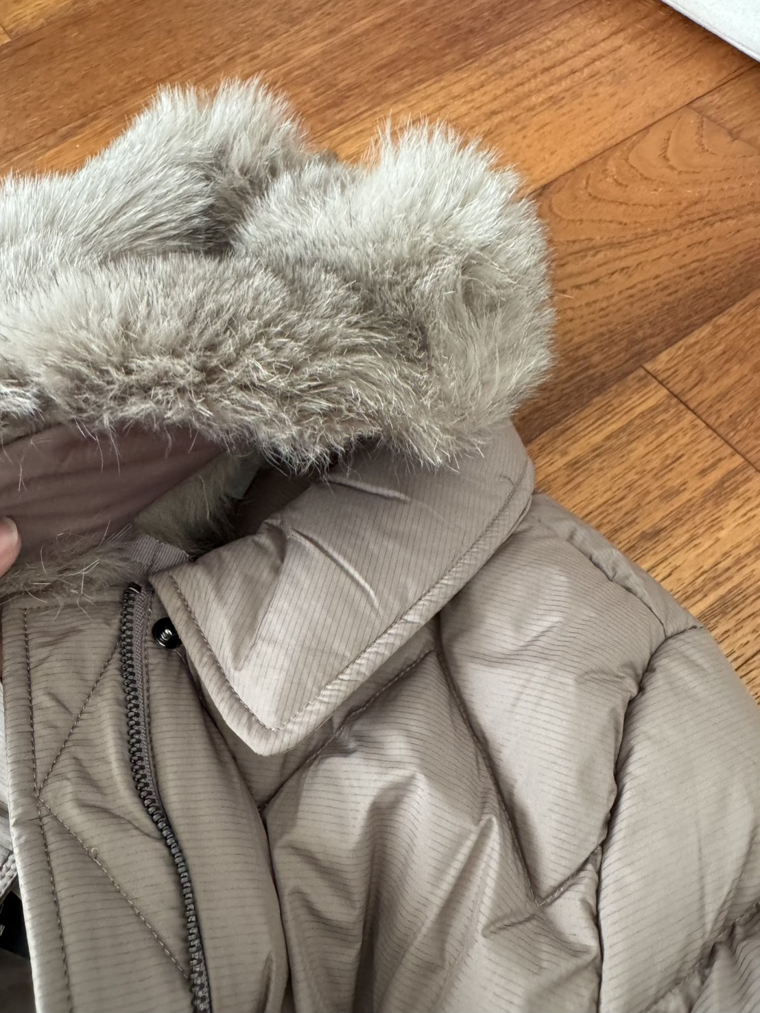 623395464_1448101553351870_6540380364452764056_n