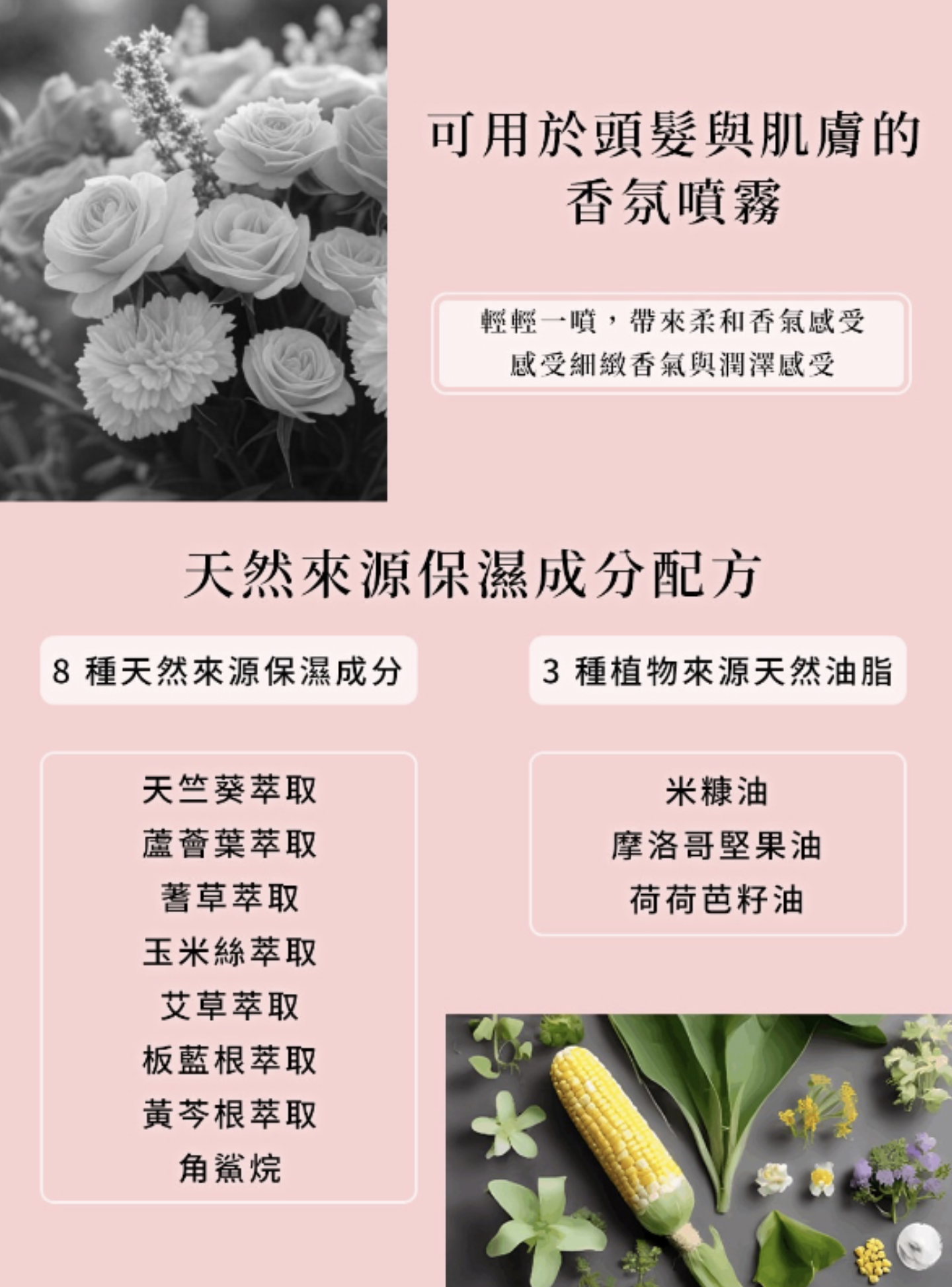 截圖 2026-03-20 上午11.59.34