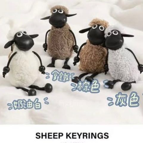 fotor-20260126141116