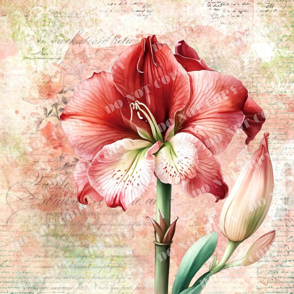 Flowers0122-1 (孤延花)浮