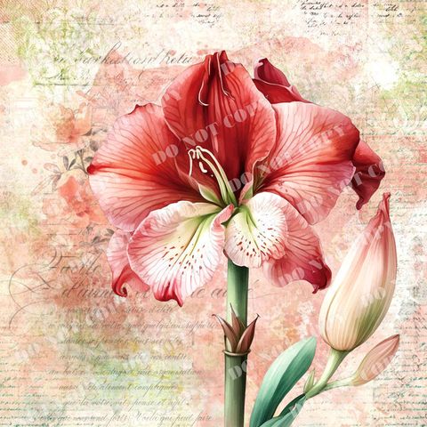 Flowers0122-1 (孤延花)浮