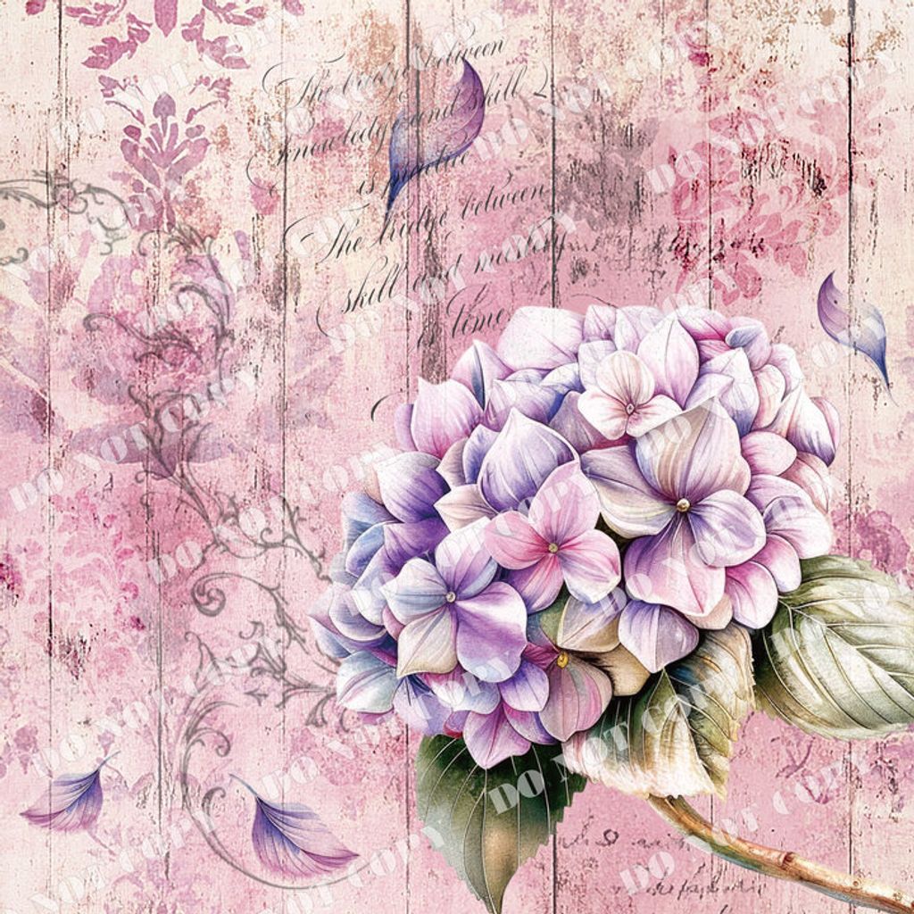 Flowers0125-1 (繡球花)浮