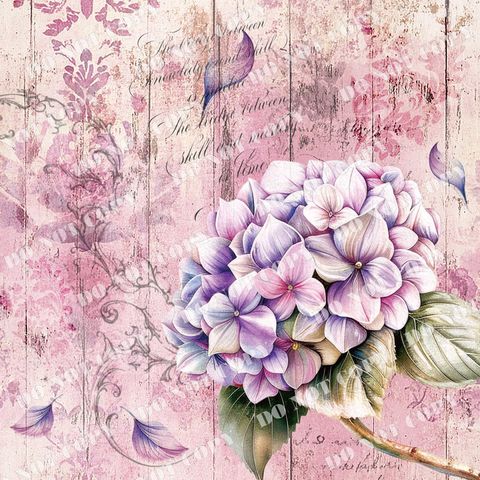 Flowers0125-1 (繡球花)浮