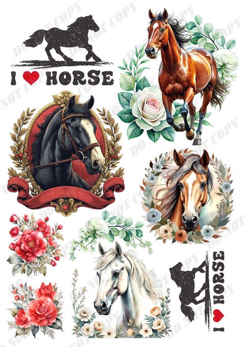 TF-可愛動物0035-1浮