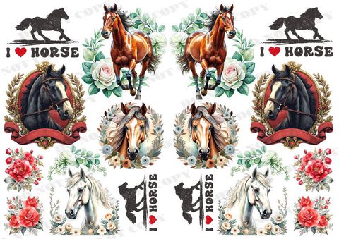 TF-可愛動物0035-2浮