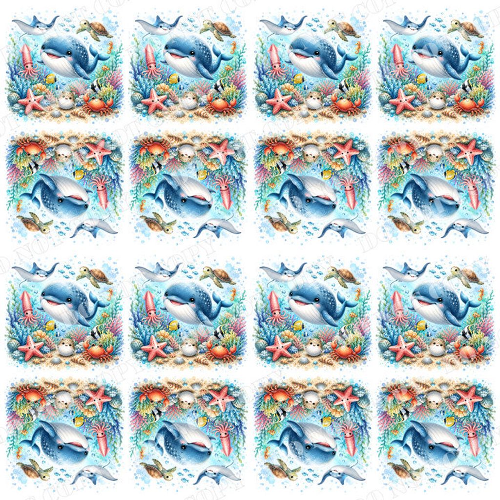 DSR-Ocean&Nautica 0003-4浮