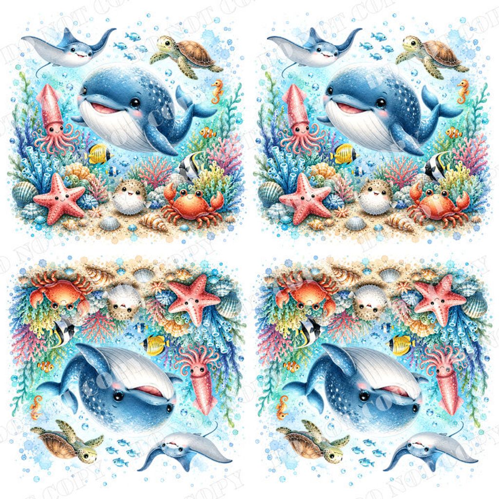 DSR-Ocean&Nautica 0003-2浮