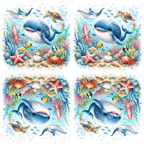 DSR-Ocean&Nautica 0003-2浮