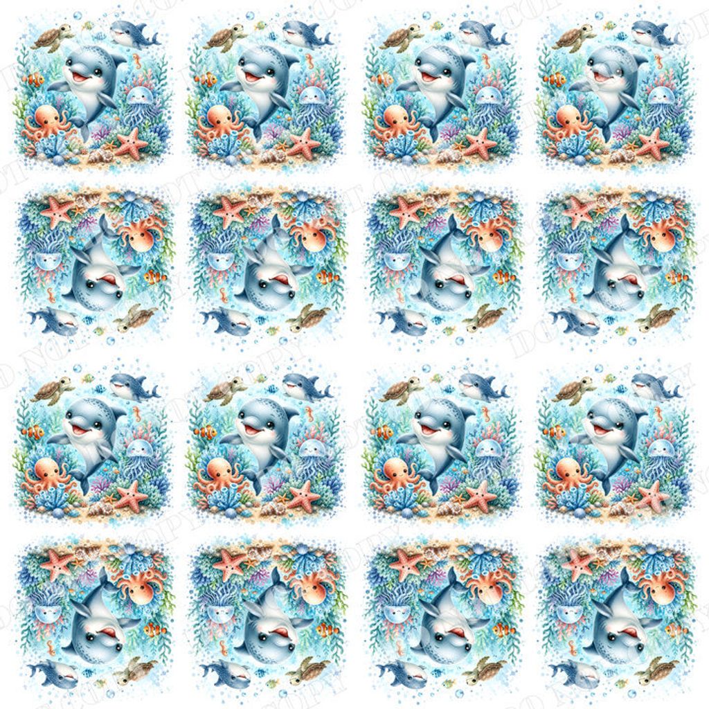 DSR-Ocean&Nautica 0004-4浮