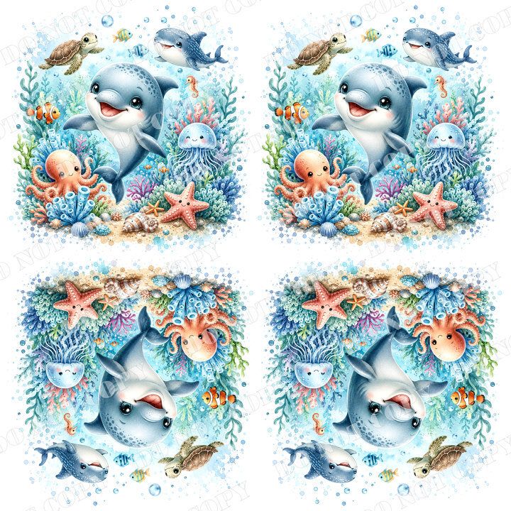 DSR-Ocean&Nautica 0004-2浮