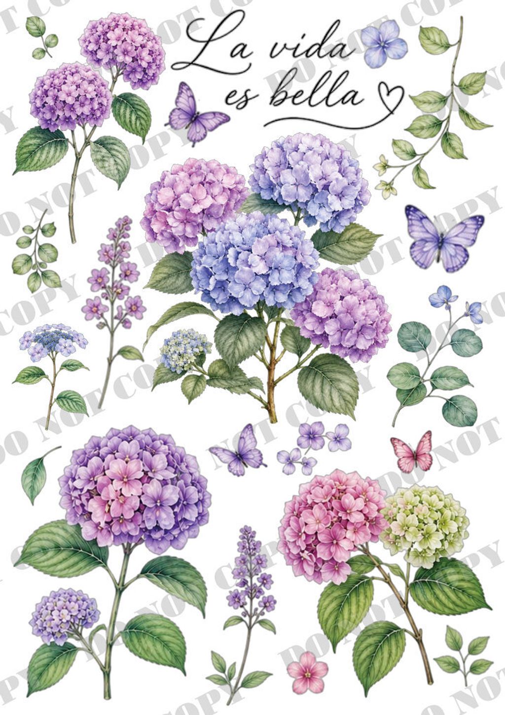 TF-花鳥蝴蝶0019-1浮