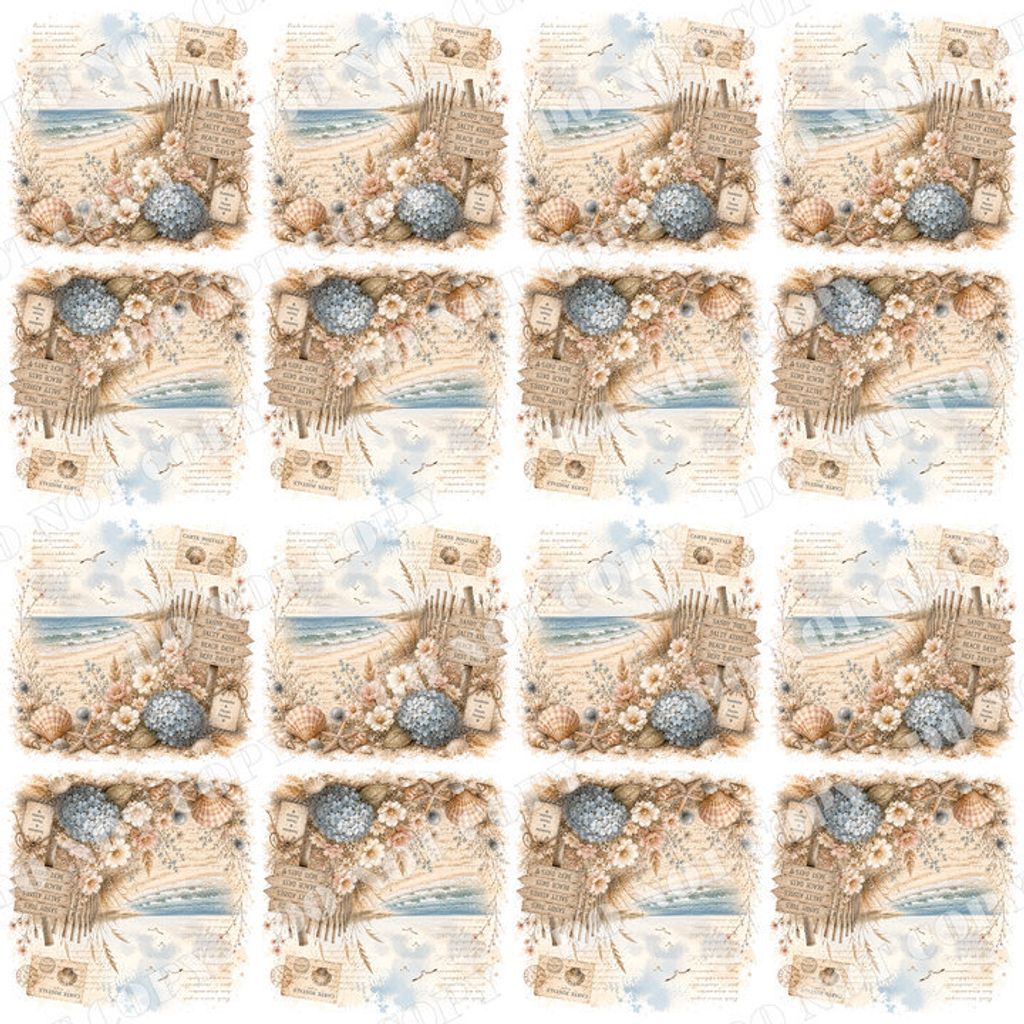 DSR-Ocean&Nautica 0009-4浮