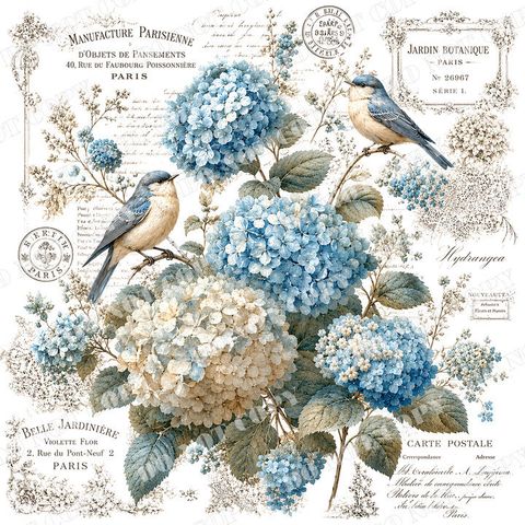DSR-花鳥蝴蝶0008-1浮