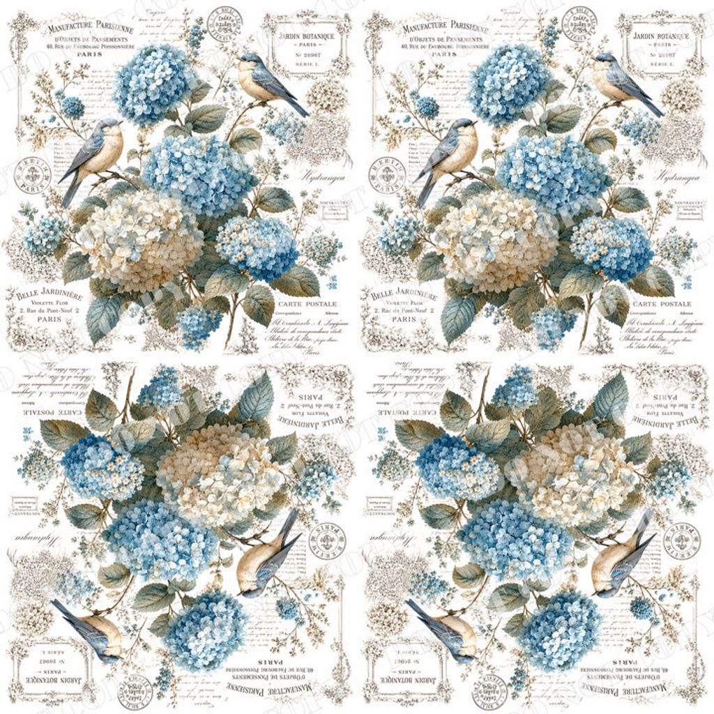 DSR-花鳥蝴蝶0008-2浮