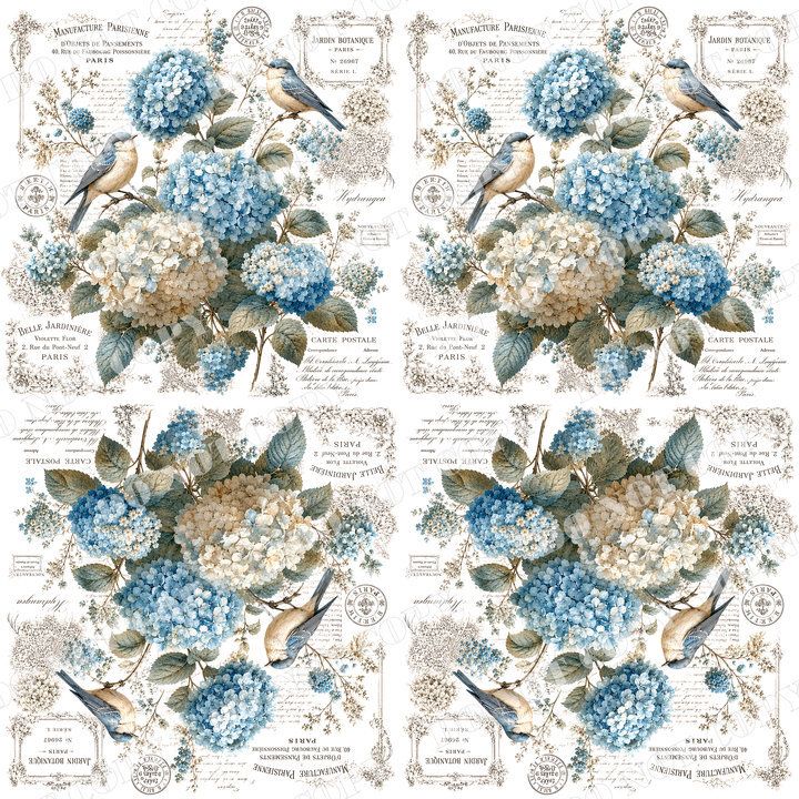 DSR-花鳥蝴蝶0008-2浮