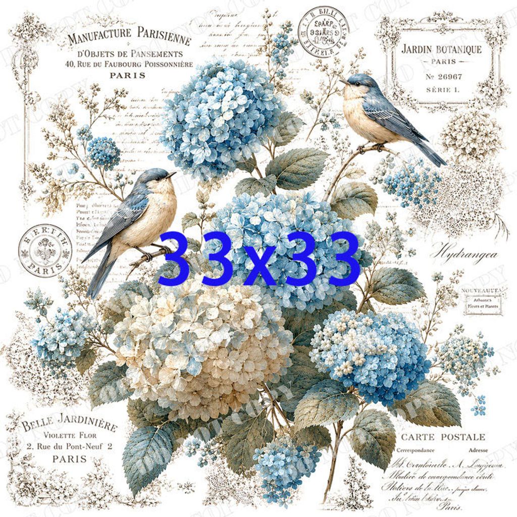 DSR-花鳥蝴蝶0008-3浮