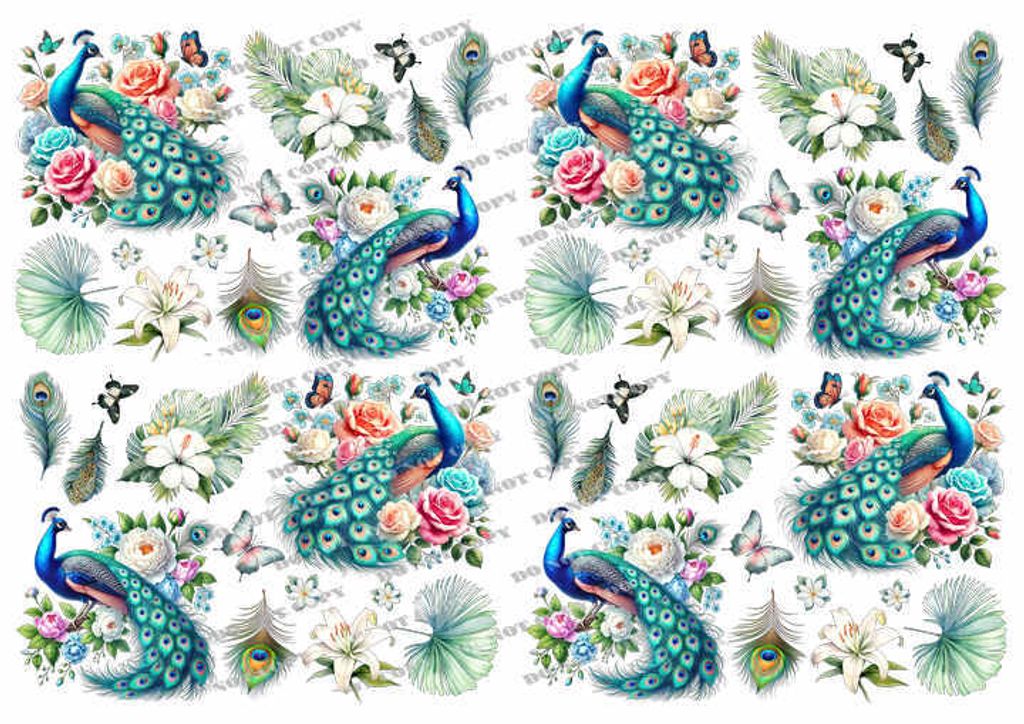 TF-花鳥蝴蝶0008-3_結果