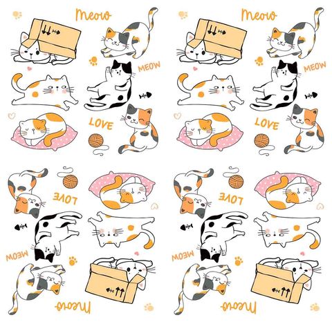 Cute Animal 0147-2