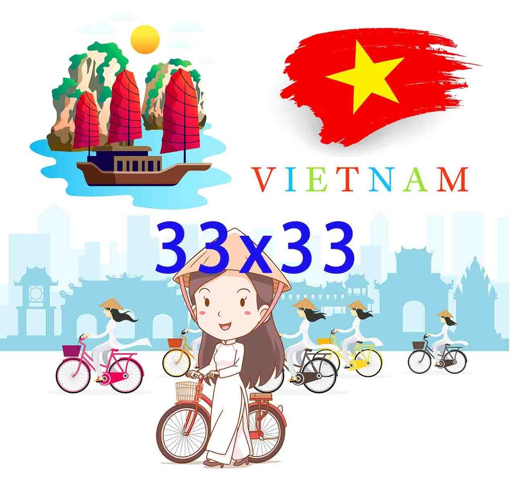VN 越南0001-3
