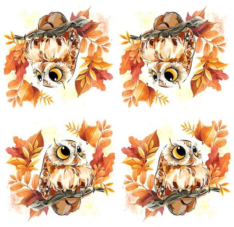 Bird Pattern0050-2