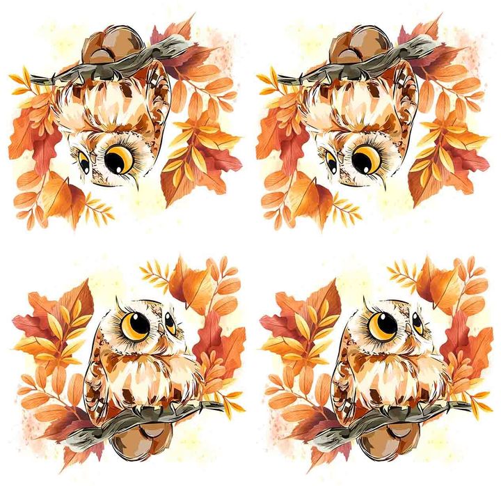 Bird Pattern0050-2